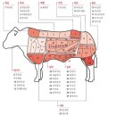 싸네1000쇼핑 | Jul 2025 후쿠오카 (짤븐 여름휴가아~)