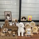 초상화 | 청주양모펠트, 데이트코스로 추천하는 청주공방 양모책방 반려견초상화 클래스 후기