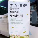 조성초등학교 이미지