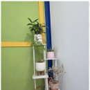 아이비 보습학원 이미지