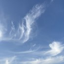 늘솔길공원화장실 | 늘솔길공원 양떼목장 숲카페 편백나무숲 장미원 주차장까지, 한적한 가을 느끼기
