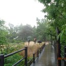 고은초등학교 이미지