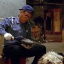 플란다스의개 이미지