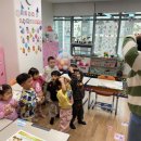 채송화유치원 네이버블로그