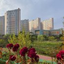 한양수자인파크원(아) 이미지