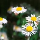 경산시 문화회관 이미지