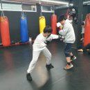 격투피트니스 송파 이미지