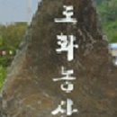 도화농산