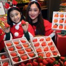 나길농장 이미지