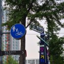 사이야 강남 일원점 이미지