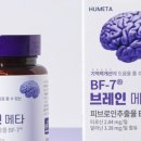 브레인링크 이미지