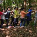 화봉초교 이미지