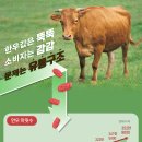 오늘의한우