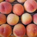 풍원농장 이미지