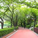 푸르내의원 이미지