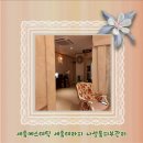 세종에스테틱 세종테라피 나성동피부관리 안서윤에스테틱 추천합니다