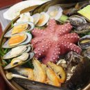 황제오리 이미지