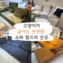 자연미가구 | 김해가구단지 고양이 때문에 시작된 소파 쇼핑.. 자이언트가구백화점 방문 후기