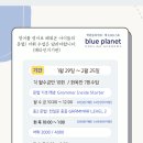 블루플래닛독서기반어학원