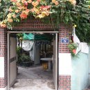 엘림주유소 이미지