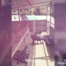 백운건강원 - 상주시 공성중앙로 115 | 백운건강원