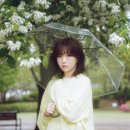 백아 이미지