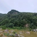 구미정 이미지