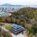 숲속 이미지