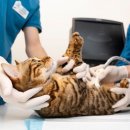 아우라케어 이미지