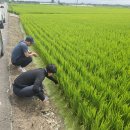 용이동행정복지센터 이미지