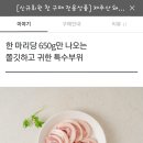 컨비니 이미지