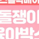 예삐박스 네이버블로그