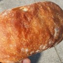치아바타 이미지