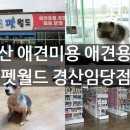 펫월드 경산임당점 네이버블로그