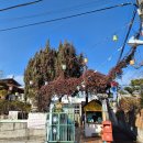 동굴속노래방 | 전주한옥마을볼거리 꼭 가보고 싶었던 '전주난장' 내돈내산 솔직후기