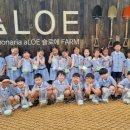 자연해나어린이집 이미지