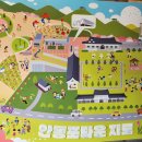 세대공감 | 여행] 경북 안동 금소 안동포타운 튤립 축제 봄꽃명소 추천 '2026 안동포 세대공감 페스타' 실제 방문 후기