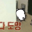 룡제원
