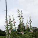 준우농장 이미지