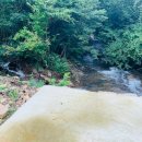 대흥임업 - 1262 | 대흥임업