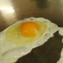 원플러스원 농장 이미지