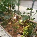 힐링(카페) 코스 이미지