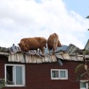 송동축사 이미지