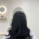뮤즈 앤 포레 이미지