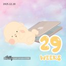 왔구나 왔어 3인의 배뱅이 | 꼬북맘 임신 29주 ~ 32주 증상과 일상 기록