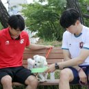 함께할개 사랑할개 부천타임즈
