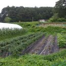 김현기농장 이미지