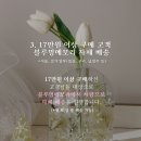 블루밍메모리 이미지