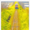 산수갑산 이미지