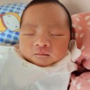 온산후조리원 | 진해 온산후조리원 이용 후기